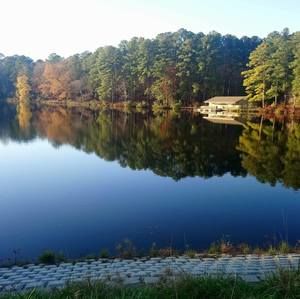 Meet your Posher, Marisol